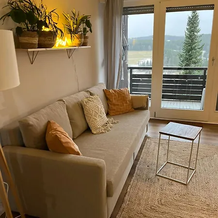 公寓 Blackforest Loft - Panoramablick Schwarzwald Schonach im Schwarzwald