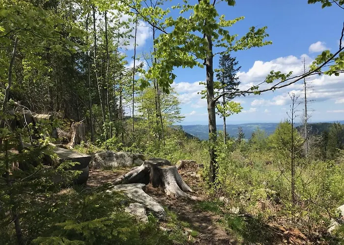 Blackforest Loft - Panoramablick Schwarzwald Lägenhet *