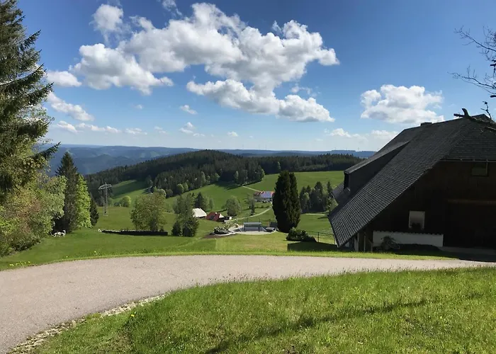 Blackforest Loft - Panoramablick Schwarzwald Lägenhet